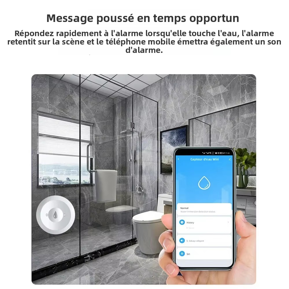 Tuya ZigBee Smart Water Leak S - Kitchen Appliances Video recension och pris