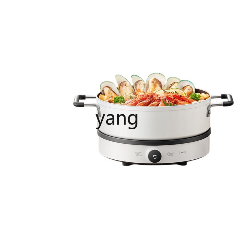 LMM  Induction Cooker Househol - Induction Cooker recension och pris