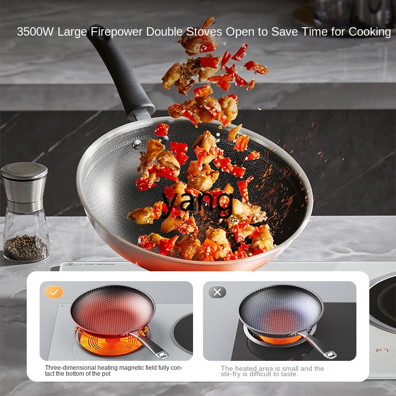 LMM Double Burner Embedded Hou - Induction Cooker recension och pris