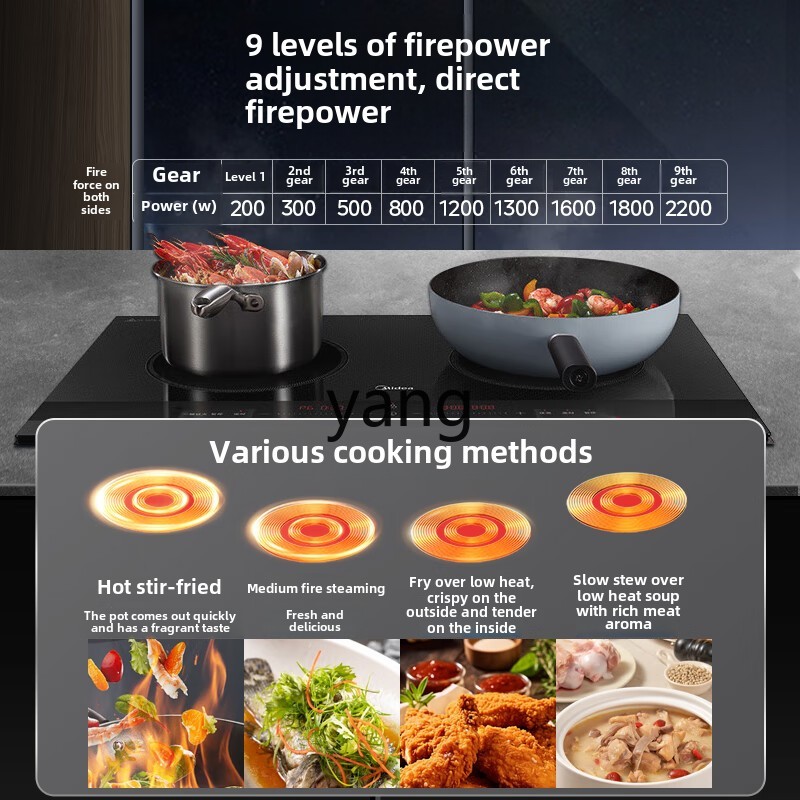 CX  induction cooker double st - Induction Cooker recension och pris