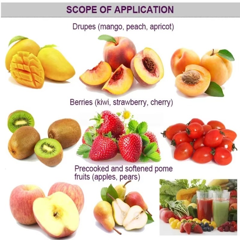 Orange Juicer/fruit and Vegeta - Juicer recension och pris